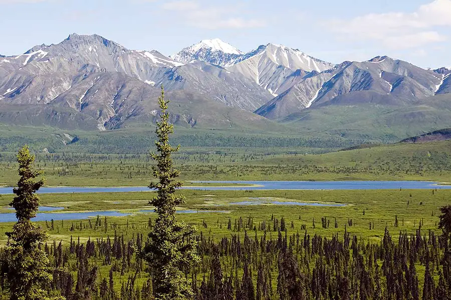 River flowing through Alaskan valley with snowcapped mountain in the horizon