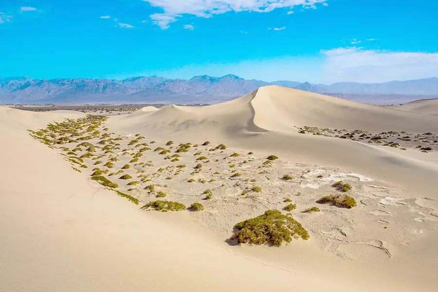 Mesquite Flat Sand Dunes