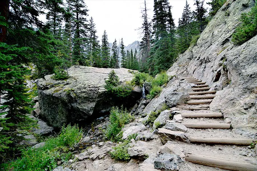 Emerald lake trail surrounded by evergreen trees, wood logs form steps to climb the rugged steep trail
