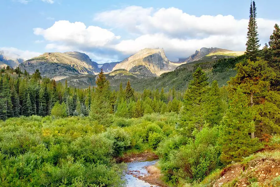 Summer in the Rocky Mountains brings lush green foliage